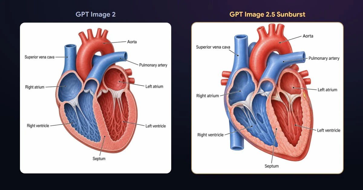 The same labelled diagram of the human heart drawn by GPT Image 2 and by GPT Image 2.5 Sunburst, side by side